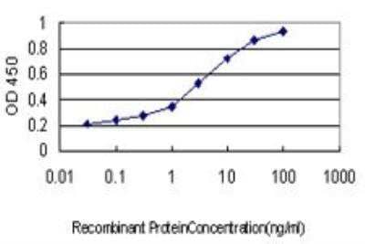 ELISA: MCM2 Antibody (6A8) [H00004171-M01] - Detection limit for recombinant GST tagged MCM2 is approximately 0.1ng/ml as a capture antibody.