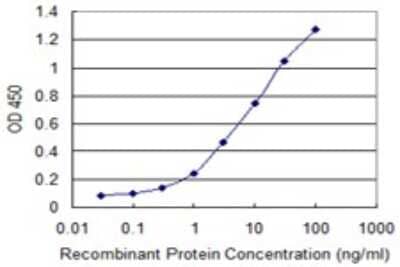 Sandwich ELISA: MCM3 Antibody (4F7) [H00004172-M01] - Detection limit for recombinant GST tagged MCM3 is 0.1 ng/ml as a capture antibody.