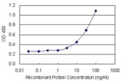 Sandwich ELISA: MCM6 Antibody (7D8) [H00004175-M04] - Detection limit for recombinant GST tagged MCM6 is 1 ng/ml as a capture antibody.