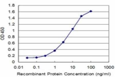 Sandwich ELISA: MDH2 Antibody (2B7) [H00004191-M03] - Detection limit for recombinant GST tagged MDH2 is approximately 0.3ng/ml as a capture antibody.