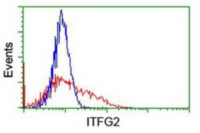 Flow Cytometry: MDS028 Antibody (3A2) [NBP2-00861] - HEK293T cells transfected with either overexpression plasmid (Red) or empty vector control plasmid (Blue) were immunostained by anti-MDS028 antibody, and then analyzed by flow cytometry.
