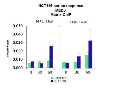 Chromatin Immunoprecipitation: MED6 Antibody [NBP3-10314] - Quiescent human colon carcinoma HCT116 cultures were treated with 10% FBS for three time points (0, 15, 30min) or (0, 30, 60min) were used in Matrix-ChIP and real-time PCR assays at EGR1 gene (Exon1) and 15kb upstream site.