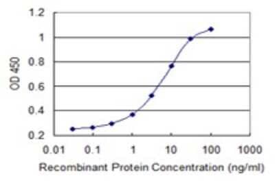 Sandwich ELISA: MED9 Antibody (7F1) [H00055090-M03] - Detection limit for recombinant GST tagged MED9 is 0.1 ng/ml as a capture antibody.