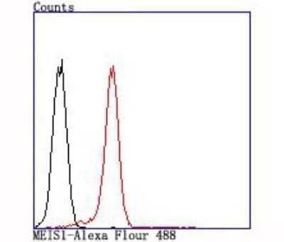 Flow Cytometry: MEIS1 Antibody (JA13-26) [NBP2-66944] - Analysis of K562 cells with MEIS1 antibody at 1/100 dilution (red) compared with an unlabelled control (cells without incubation with primary antibody; black).