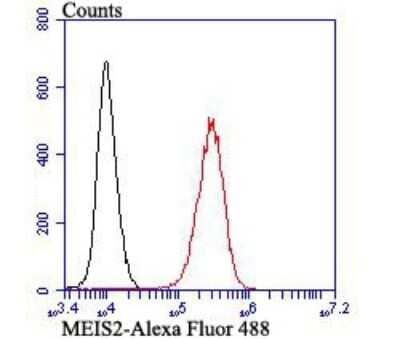 Flow Cytometry: MEIS2 Antibody (JB40-38) [NBP2-75571] - Analysis of K562 cells with MEIS2 antibody at 1/100 dilution (red) compared with an unlabelled control (cells without incubation with primary antibody; black). Alexa Fluor 488-conjugated goat anti-rabbit IgG was used as the secondary antibody.