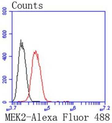 Flow Cytometry: MEK2 Antibody (SD207-08) [NBP2-67791] - Analysis of Hela cells with MEK2 antibody at 1/50 dilution (red) compared with an unlabelled control (cells without incubation with primary antibody; black). Alexa Fluor 488-conjugated goat anti rabbit IgG was used as the secondary antibody.