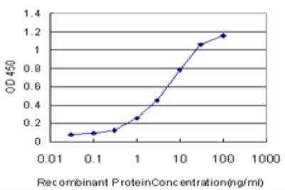 ELISA: MEK5 Antibody (3E10) [H00005607-M11] - Detection limit for recombinant GST tagged MAP2K5 is approximately 0.1ng/ml as a capture antibody.