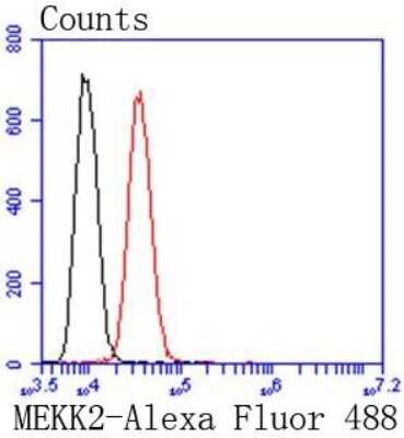 Flow Cytometry: MEKK2 Antibody (SC68-02) [NBP2-67615] - Analysis of HepG2 cells with MEKK2 antibody at 1/50 dilution (red) compared with an unlabelled control (cells without incubation with primary antibody; black). Alexa Fluor 488-conjugated goat anti rabbit IgG was used as the secondary antibody.