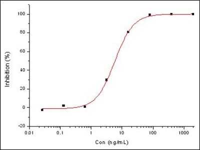 Block/Neutralize: MERS-CoV Spike Protein Antibody (723) [NBP2-90336] - MERS-CoV Spike Protein antibody (723) measured by its ability to inhibit infection of Caco-2 cells induced by MERS-CoV pseudovirus. The ED50 for this effect is 2.5-11 ng/mL.