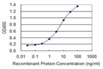 Sandwich ELISA: METTL2B Antibody (2A9) [H00055798-M03] - Detection limit for recombinant GST tagged METTL2B is 0.1 ng/ml as a capture antibody.