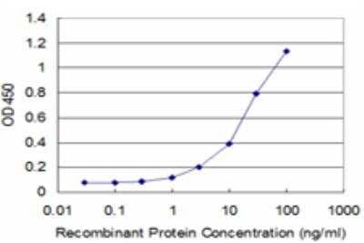 ELISA: MFAP4 Antibody (3A5) [H00004239-M05] - Detection limit for recombinant GST tagged MFAP4 is approximately 1ng/ml as a capture antibody.