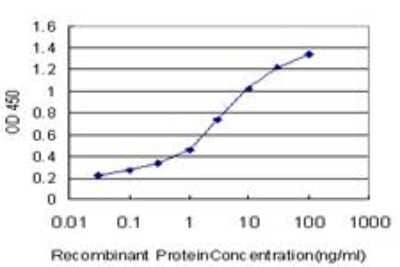 ELISA: MFG-E8 Antibody (3E9) [H00004240-M09] - Detection limit for recombinant GST tagged MFGE8 is approximately 0.3ng/ml as a capture antibody.