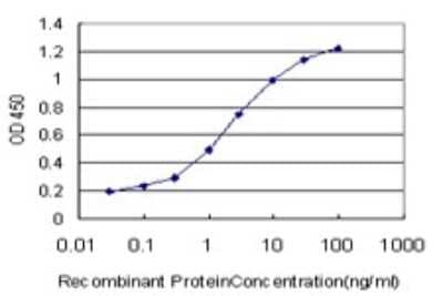 Sandwich ELISA: MFNG Antibody (2B11) [H00004242-M07] - Detection limit for recombinant GST tagged MFNG is approximately 0.1ng/ml as a capture antibody.