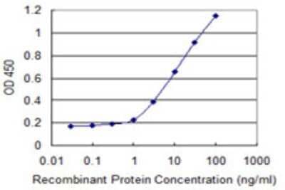 Sandwich ELISA: MFRP Antibody (3H5) [H00083552-M02] - Detection limit for recombinant GST tagged MFRP is 0.3 ng/ml as a capture antibody.