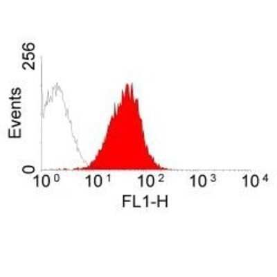 Flow Cytometry: MHC Class I RT1Ac Antibody (OX-27) [NB100-64951] - Staining of BN rat spleen cells with MOUSE ANTI RAT RT1Ac (NB100-64951) visualised with MOUSE IgG:FITC (RAT ABSORBED) (STAR70).