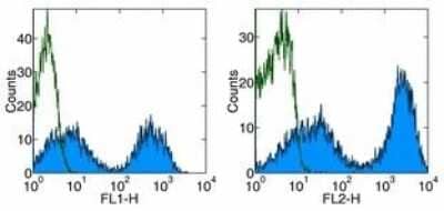 Flow Cytometry: MHC Class II Antibody (HIS19) [FITC] [NBP1-43985] - Staining of rat splenocytes with Anti-Rat MHC Class II FITC (left) and PE (right). Appropriate isotype controls were used (open histogram). Total viable cells were used for analysis.