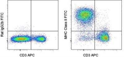 Flow Cytometry: MHC Class II Antibody (M5/114.15.2) [FITC] [NBP1-43950] - Staining of C57BL/6 splenocytes with Anti-Mouse CD3e and 0.06 micrograms of Rat IgG2b k Isotype Control FITC (left) or 0.06 micrograms of Anti-Mouse MHC Class II (I-A/I-E) FITC (right). Cells in the lymphocyte gate were used for analysis.
