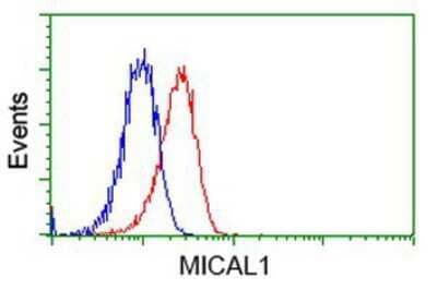 Flow Cytometry MICAL1 Antibody (OTI6H4)