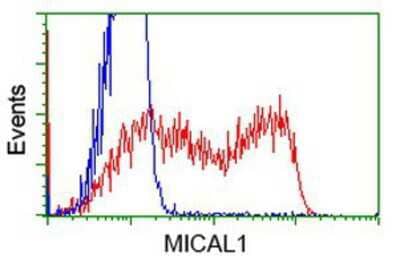 Flow Cytometry MICAL1 Antibody (OTI6H4)