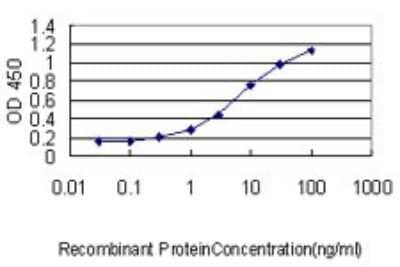 Sandwich ELISA: MIF Antibody (2A10-4D3) [H00004282-M01] - Detection limit for recombinant GST tagged MIF is approximately 0.1ng/ml as a capture antibody.