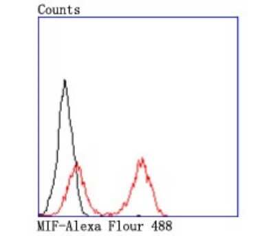 Flow Cytometry: MIF Antibody (JM11-64) [NBP2-66949] - Analysis of THP-1 cells with MIF antibody at 1/50 dilution (red) compared with an unlabelled control (cells without incubation with primary antibody; black). Alexa Fluor 488-conjugated goat anti rabbit IgG was used as the secondary antibody.