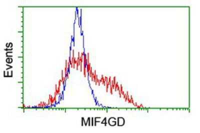 Flow Cytometry: MIF4GD Antibody (4C11) [NBP2-01876] - HEK293T cells transfected with either overexpression plasmid (Red) or empty vector control plasmid (Blue) were immunostained by anti-MIF4GD antibody, and then analyzed by flow cytometry.