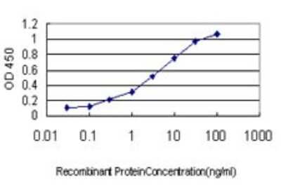 Sandwich ELISA: MKK3/MEK3 Antibody (2F12) [H00005606-M01] - Detection limit for recombinant GST tagged MAP2K3 is approximately 0.1ng/ml as a capture antibody.