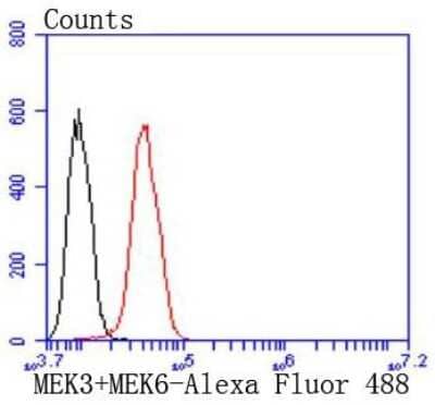 Flow Cytometry: MKK3/MEK3 Antibody (JJ087-09) [NBP2-67873] - Analysis of Hela cells with MEK3+MEK6 antibody at 1/50 dilution (red) compared with an unlabelled control (cells without incubation with primary antibody; black). Alexa Fluor 488-conjugated goat anti rabbit IgG was used as the secondary antibody