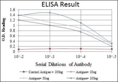 ELISA: MKK6/MEK6 Antibody (3H12B9) [NBP2-37637] - Red: Control Antigen (100ng); Purple: Antigen (10ng); Green: Antigen (50ng); Blue: Antigen (100ng);