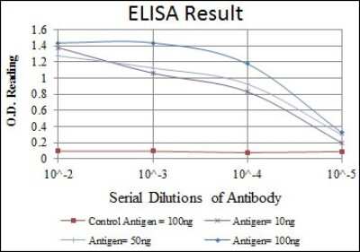 ELISA: MKK6/MEK6 Antibody (3H12C8) [NBP2-37638] - Red: Control Antigen (100ng); Purple: Antigen (10ng); Green: Antigen (50ng); Blue: Antigen (100ng);