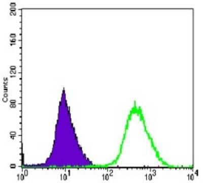 Flow Cytometry: MKK6/MEK6 Antibody (3H12C8) [NBP2-37638] - Flow cytometric analysis of Hela cells using MAP2K6 mouse mAb (green) and negative control (purple).