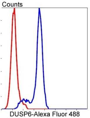 Flow Cytometry: MKP-3/DUSP6 Antibody (SR39-09) [NBP2-67320] - Analysis of NIH/3T3 cells with DUSP6 antibody at 1/50 dilution (blue) compared with an unlabelled control (cells without incubation with primary antibody; red). Alexa Fluor 488-conjugated goat anti rabbit IgG was used as the secondary antibody.