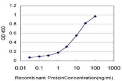 Sandwich ELISA: MKRN2 Antibody (5F8) [H00023609-M01] - Detection limit for recombinant GST tagged MKRN2 is approximately 0.1ng/ml as a capture antibody.