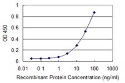 Sandwich ELISA: MLF2 Antibody (2F6-1E3) [H00008079-M01] - Detection limit for recombinant GST tagged MLF2 is 0.3 ng/ml as a capture antibody.