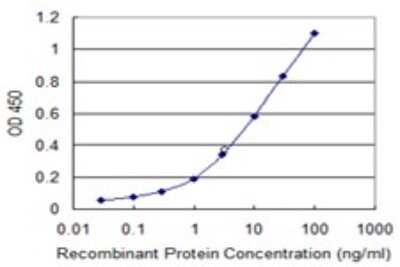 Sandwich ELISA: MLLT6 Antibody (2B6) [H00004302-M01] - Detection limit for recombinant GST tagged MLLT6 is 0.1 ng/ml as a capture antibody.