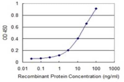 Sandwich ELISA: MLX Antibody (1C3) [H00006945-M07] - Detection limit for recombinant GST tagged MLX is 0.3 ng/ml as a capture antibody.