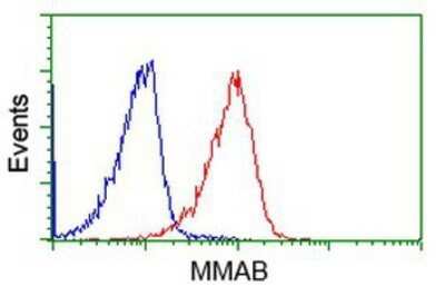 Flow Cytometry: MMAB Antibody (OTI2G5) - Azide and BSA Free [NBP2-72730] - Analysis of Jurkat cells, using anti-MMAB antibody, (Red), compared to a nonspecific negative control antibody (Blue).