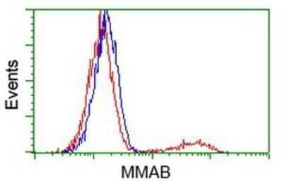 Flow Cytometry: MMAB Antibody (OTI2G5) - Azide and BSA Free [NBP2-72730] - HEK293T cells transfected with either overexpression plasmid (Red) or empty vector control plasmid (Blue) were immunostaining by anti-MMAB antibody, and then analyzed by flow cytometry.