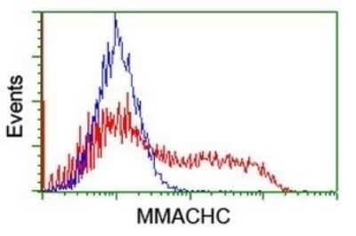 Flow Cytometry: MMACHC Antibody (OTI1A4) - Azide and BSA Free [NBP2-72738] - Analysis of HEK293T cells transfected with either overexpress plasmid(Red) or empty vector control plasmid(Blue) were immunostaining by MMACHC antibody.