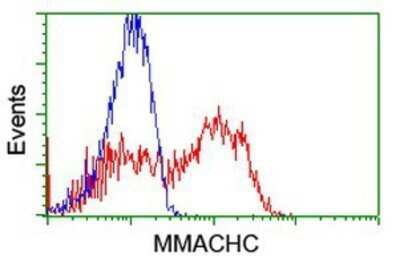 Flow Cytometry: MMACHC Antibody (OTI4E9) - Azide and BSA Free [NBP2-72734] - HEK293T cells transfected with either overexpression plasmid (Red) or empty vector control plasmid (Blue) were immunostaining by anti-MMACHC antibody, and then analyzed by flow cytometry.