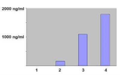 ELISA: MMP-12 Antibody (706F9.01) [Biotin] [DDX0281B] - 1= control; 2=HME-transfected cells; 3=CD34+ +GMCSF+TNFa+IL4; 4=patient serum of Langerhans hystiocytosis (samples were tested with DDX0281).