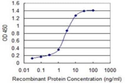 Sandwich ELISA: MMP26 Antibody (3B9) [H00056547-M02] - Detection limit for recombinant GST tagged MMP26 is 0.03 ng/ml as a capture antibody.