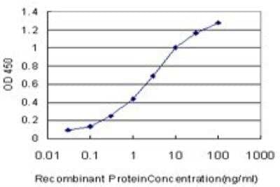 ELISA: MMR/CD206/Mannose Receptor Antibody (5C11) [H00004360-M02] - Detection limit for recombinant GST tagged MRC1 is approximately 0.03ng/ml as a capture antibody.