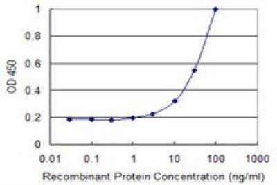 ELISA: MMRN1 Antibody (1G10) [H00022915-M04] - Detection limit for recombinant GST tagged MMRN1 is 1 ng/ml as a capture antibody.