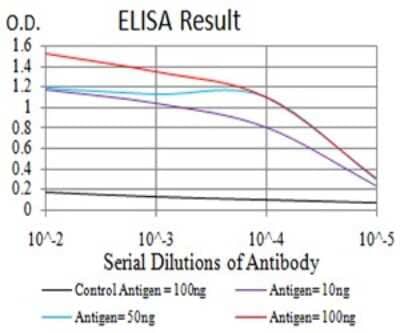 ELISA: MOBKL1B Antibody (3E7B2) [NBP2-61874] - Black line: Control Antigen (100 ng);Purple line: Antigen (10ng); Blue line: Antigen (50 ng); Red line:Antigen (100 ng)