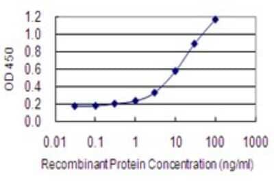 Sandwich ELISA: MOG1 Antibody (1H4) [H00029098-M02] - Detection limit for recombinant GST tagged RANGRF is 0.1 ng/ml as a capture antibody.