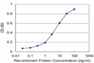 Sandwich ELISA: MPHOSPH10 Antibody (1E12) [H00010199-M04] - Detection limit for recombinant GST tagged MPHOSPH10 is approximately 0.3ng/ml as a capture antibody.