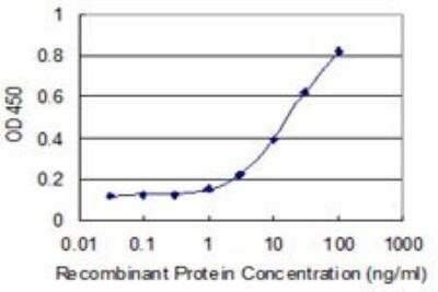 ELISA: MPND Antibody (1C12) [H00084954-M01] - Detection limit for recombinant GST tagged MPND is 0.3 ng/ml as a capture antibody.
