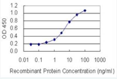 ELISA: MRG15 Antibody (6B6) [H00010933-M01-100ug] - Detection limit for recombinant GST tagged MORF4L1 is 0.1 ng/ml as a capture antibody.