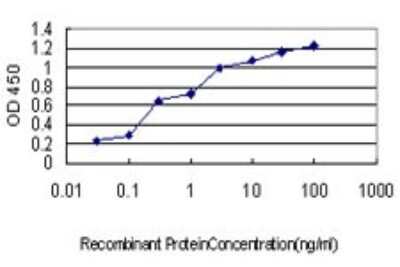 Sandwich ELISA: MRP2 Antibody (1C5) [H00001244-M01] - Detection limit for recombinant GST tagged ABCC2 is approximately 0.03ng/ml as a capture antibody.